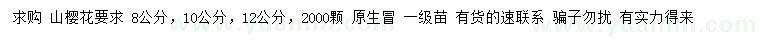 求購8、10、12公分山櫻花
