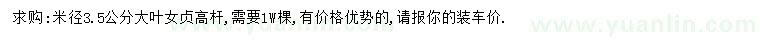 求購(gòu)米徑3.5公分大葉女貞