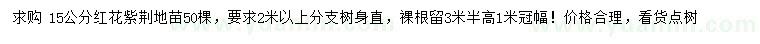 求購15公分紅花紫荊