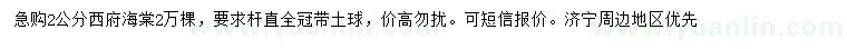 求購2公分西府海棠