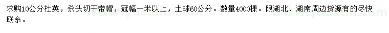 求購10公分杜英