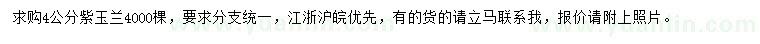 求購(gòu)4公分紫玉蘭