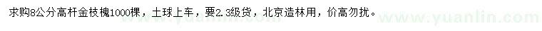 求購8公分高桿金枝槐