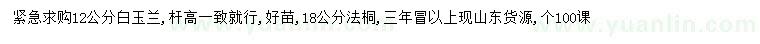 求購12公分白玉蘭、18公分法桐