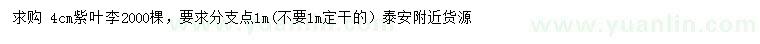 求購4公分紫葉李
