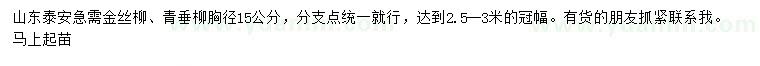 求購(gòu)胸徑15公分金絲柳、青垂柳