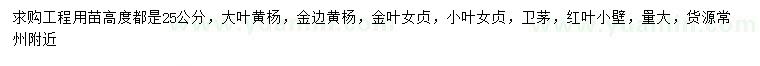 求購大葉黃楊、金邊黃楊、金葉女貞等