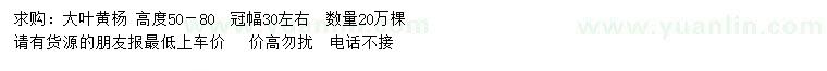 求購高50－80公分大葉黃楊