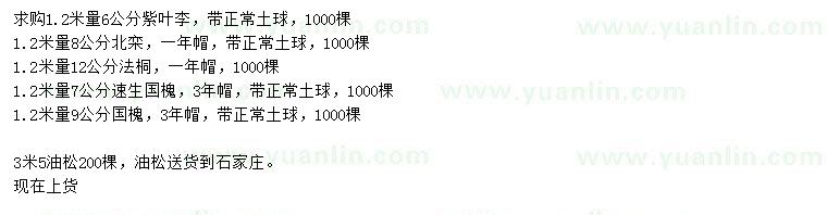 求購紫葉李、北欒、法桐等