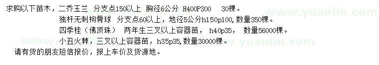 求購二喬玉蘭、無刺枸骨球、四季桂等