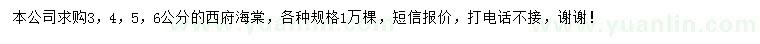 求購3、4、5、6公分西府海棠