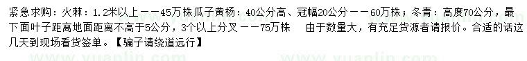 求購(gòu)火棘、瓜子黃楊、冬青