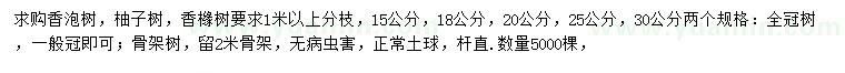 求購香泡樹、柚子樹、香櫞樹