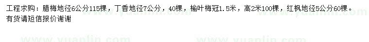 求購臘梅、丁香、榆葉梅等
