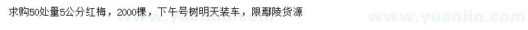 求購50量5公分紅梅