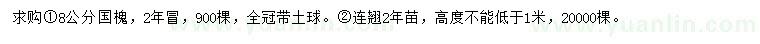 求購8公分國槐、連翹2年苗