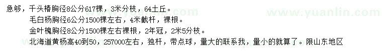 求購(gòu)千頭椿、毛白楊、金葉槐等