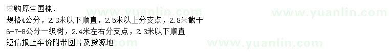 求購4、6、7、8公分原生國槐