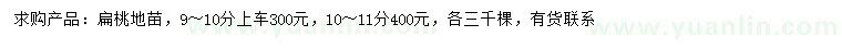 求購9-11公分扁桃