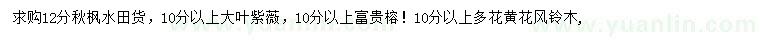 求購秋楓、大葉紫薇、富貴榕等