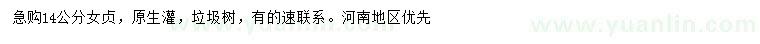 求購14公分垃圾女貞