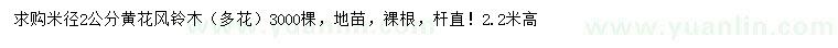 求購米徑2公分黃花風(fēng)鈴木
