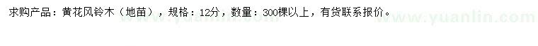求購12公分黃花風(fēng)鈴木