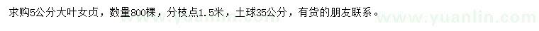 求購5公分大葉女貞