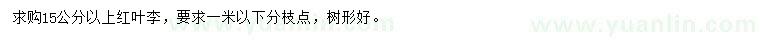 求購(gòu)15公分以上紅葉李