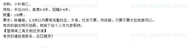 求購米徑15公分小葉欖仁