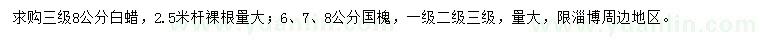 求購8公分白蠟、6、7、8公分國槐