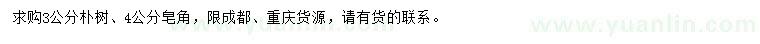 求購(gòu)3公分樸樹(shù)、4公分皂角