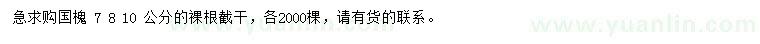 求購7、8、10公分國槐