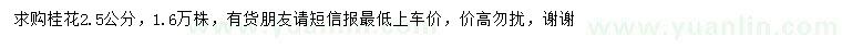 求購2.5公分桂花