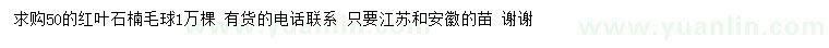 求購50公分紅葉石楠毛球