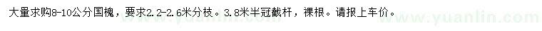 求購8-10公分國槐