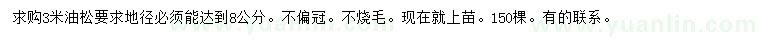 求購3米油松