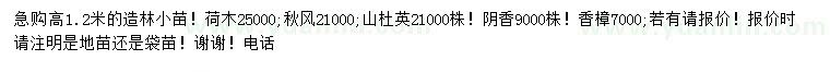 求購荷木、秋楓、山杜英等