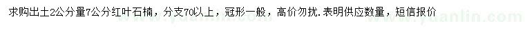 求購2公分量7公分紅葉石楠