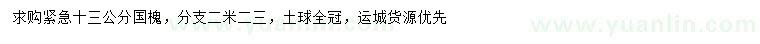 求購(gòu)13公分國(guó)槐