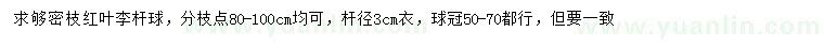 求購密枝紅葉李桿球