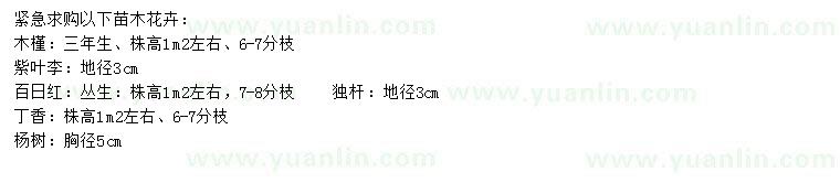 求購木槿、紫葉李、百日紅等