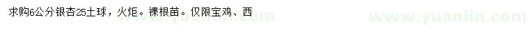 求購(gòu)6公分銀杏、火炬樹(shù)