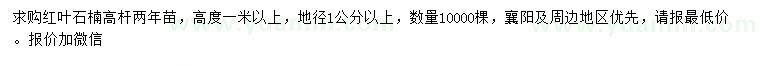 求購高1米以上高桿紅葉石楠