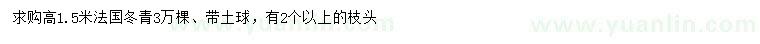 求購(gòu)高1.5米法國(guó)冬青