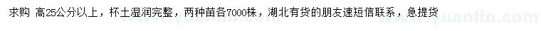 求購(gòu)高25公分以上紅葉石楠、金森女貞