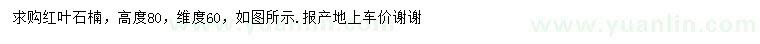 求購高80公分紅葉石楠