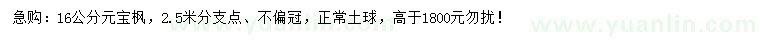 求購16公分元寶楓