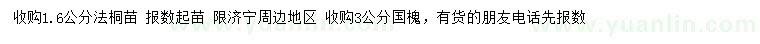 求購1.6公分法桐、3公分國槐