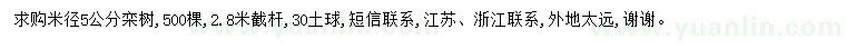 求購米徑5公分欒樹